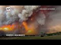 Escape from killer New Mexico wildfire was absolute sheer terror,’ woman says  - 01:16 min - News - Video
