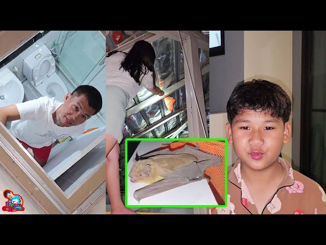 แม่บีขึ้นหลังคาบ้านจับค้างคาว | น้องบีม