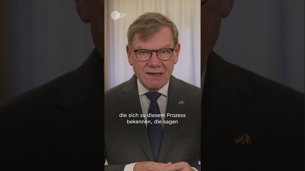 Wadepuhl: "Israel will den Frieden, will den Ausgleich" | shorts israel gaza