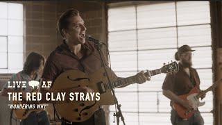 The Red Clay Strays  | &quot;Wondering Why&quot; | Live AF