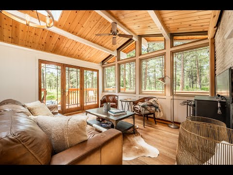 Property video