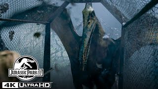 The Pteranodon Aviary Attack in 