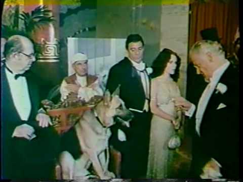 Won Ton Ton: The Dog Who Saved Hollywood'