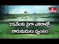 Rains wreck havoc in AP; Paddy, prawns destroyed