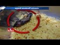 Rat found in Pulihora prasadam at Warangal Bhadrakali temple