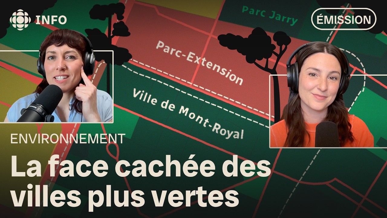 Est-ce que les arbres en ville, c’est juste pour les riches? | RC Environnement