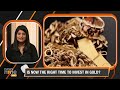 Gold Prices Today at All-Time High | Should You Buy Gold, Hold It, Or Sell Now? | Gold Investment  - 08:07 min - News - Video