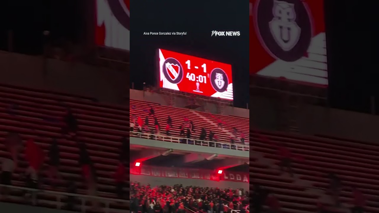 WATCH: Violent brawl between rival fans breaks out in stands #shorts #usa #us #news #new #sports