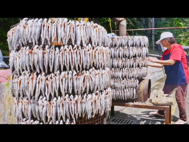1000！Amazing Smoked Flying Fish Making Skills, Flying Fish Catching/進擊的飛魚！粉鳥林飛魚大豐收, 煙燻飛魚製作技巧-東岳部落