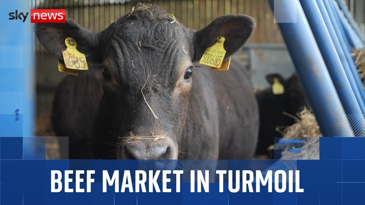 The beef market is in turmoil - and it's affecting British farmers and consumers alike