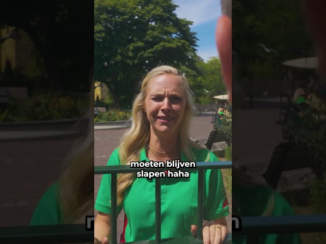 Wanneer je langer wilt blijven in het pretpark 🙈 #duinrell #pretpark #sketch #sketchcomedy