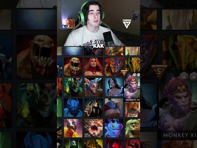 👀 Эффектный мини-профиль! @TundraEsports   #dota #dota2