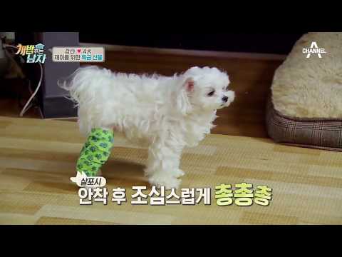 강타, 아픈 제이를 위한 특급 선물! 맥시멈 교통사고 철통 방어ㅠ.ㅠ