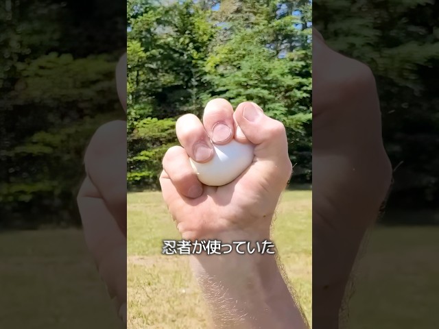 卵で作られた武器