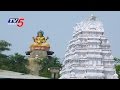 Tukkuluru Saraswathi Temple Turns 'Andhra Basara'