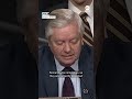 Sen. Lindsey Graham tells social media CEOs you have blood on your hands  - 00:54 min - News - Video