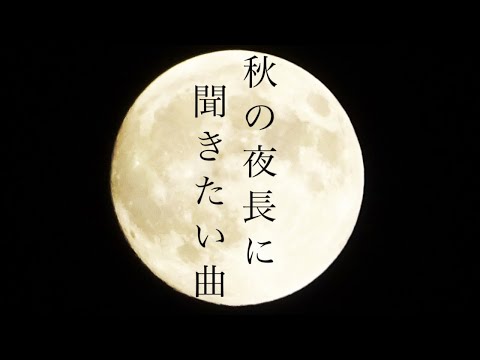 今日も1日お疲れ様でした!ゆっくりしていってね!