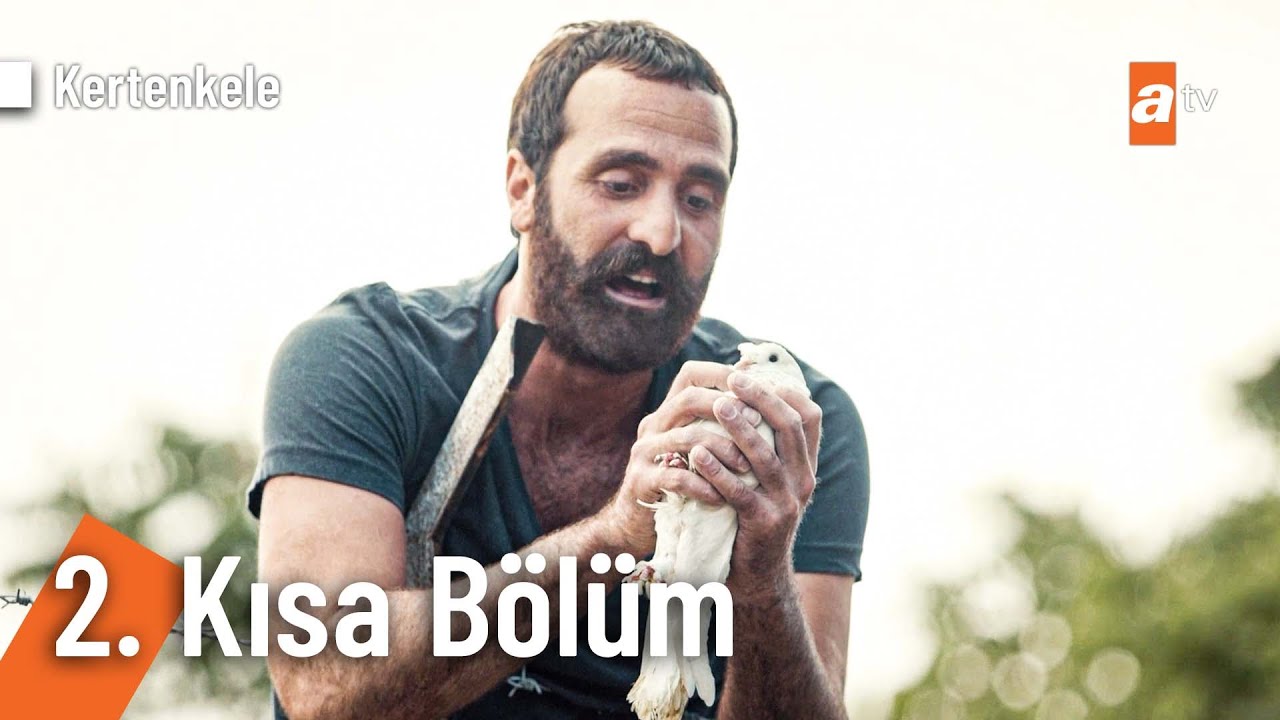 2. Kısa Bölüm | Kertenkele @kertenkele ​