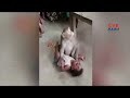 Viral: Monkey plays with Baby Girl