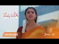 Meghasandesam | భూమిపై జరుగుతున్న ఆచారం, శరత్ చంద్ర బాధ!