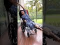 Actress Shilpa Shetty performs yoga with injured leg in wheelchair, viral video