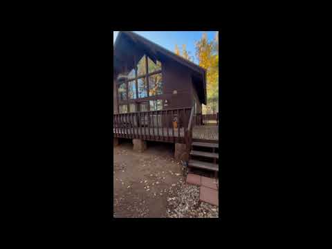 Video der Unterkunft