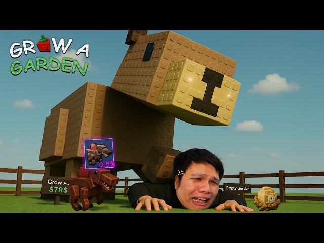 สัตว์ผมคือ No.1 ของเซิร์ฟ | Grow a Garden Roblox