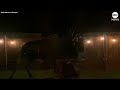 Moose fight wrecks Alaska womans backyard  - 02:38 min - News - Video
