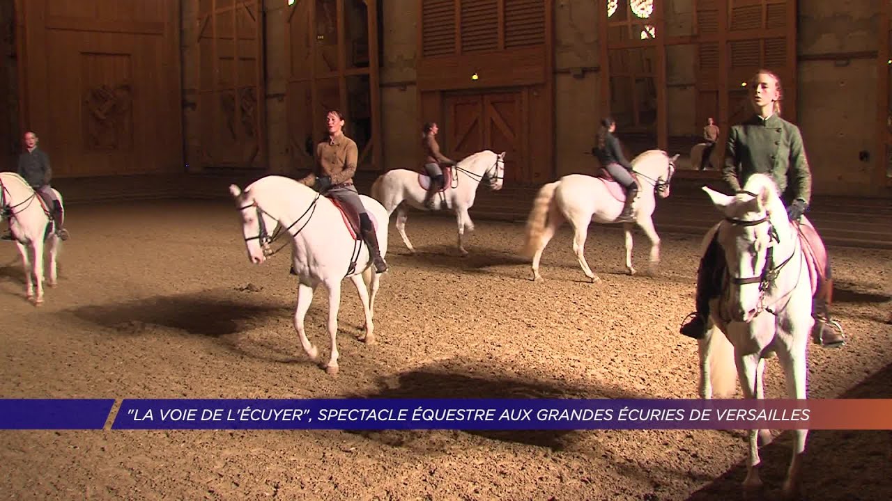 Yvelines | « La voie de l’écuyer », spectacle équestre aux grandes écuries de Versailles