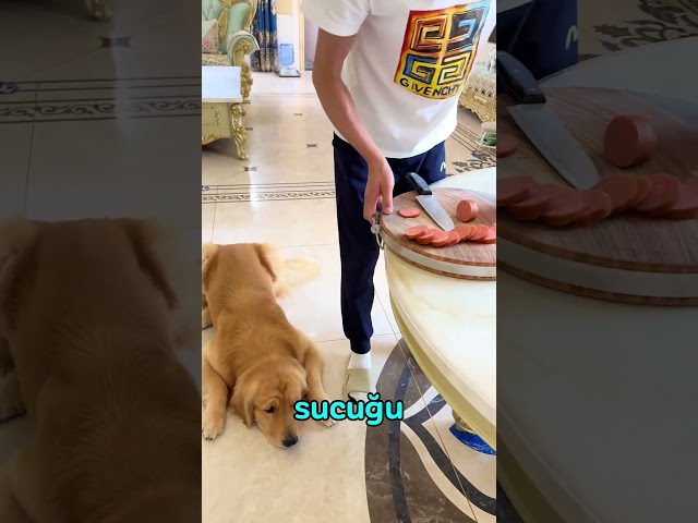 Limon Bırak SUCUĞU!!