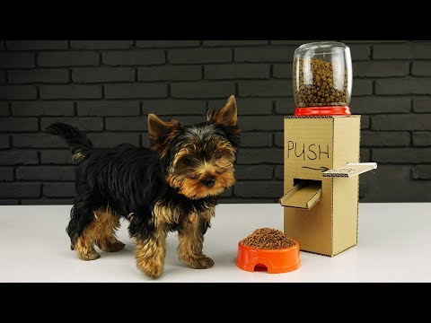 DIY Puppy Dog Food Dispenser from Cardboard at Home