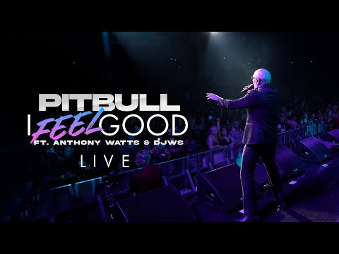 Pitbull - I Feel Good Live Performance