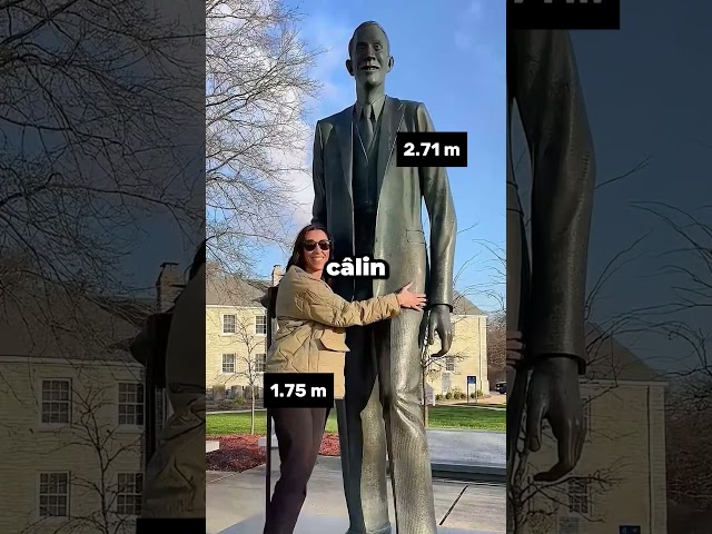 Vous n'imaginez pas à quel point ils sont proches de battre le record du monde de hauteur
