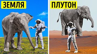 На что была бы похожа ваша жизнь на других планетах?