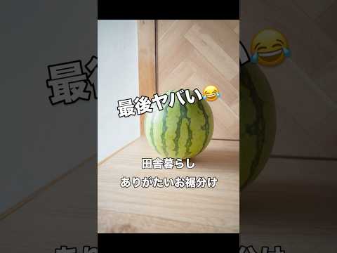 田舎暮らしの夏 衝撃のラスト