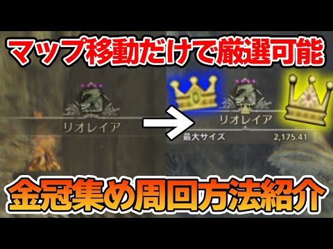 【モンハンワイルズ】最小最大金冠の周回方法とマップ移動だけで厳選できる方法を合わせて紹介!!【MHWs】【ぽんすけ】