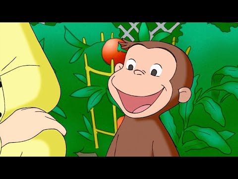 ジョージ、庭に植物を植える！ 🐵 おさるのジョージ