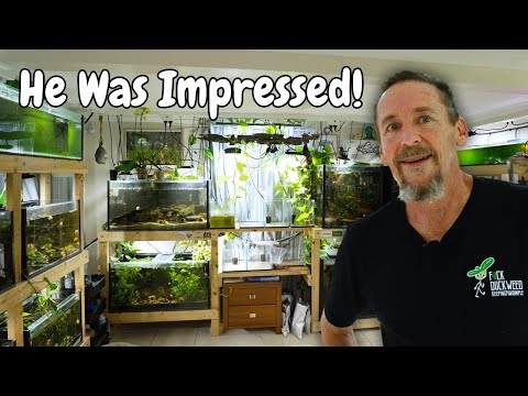 A Master Fishkeeper Visited… And Didn’t Hold B ONLINE STORE - https_//keepingfishsimple.com/ 
BUY MY FISH ↠ https_//keepingfishsimple.com/collect