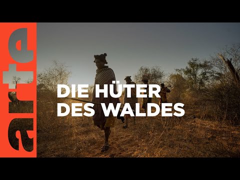 Madagaskar: Die Mikea sind Jäger und Sammler | ARTE Reportage