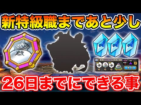 【ドラクエウォーク】新特級職でスタートダッシュを決める為にできること!!【DQW】