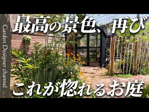 【様変わり！】施工から1年後の姿！モリモリに育った植物が落ち着けるひとときを演出！【植栽】【The garden one year after planting】