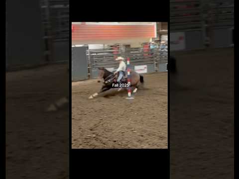 And only getting better! #blowup #horse #polebend #20seconds #rodeo #rodeolife #barrelhorse #fyp #❤️
