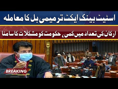 Senate Meets To Approve SBP Amendment Bill | حکومت کو مشکلات کا سامنا