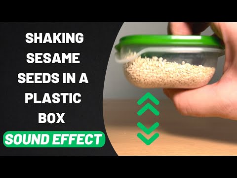 Shaking Sesame Seeds in a Plastic Box Sound Effect Stereo High Quality 96kHz