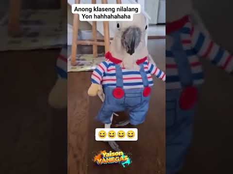 the moving doll #funny #comedymove #comedyfilms