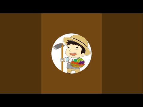 クワカブを求めてライトトラップ