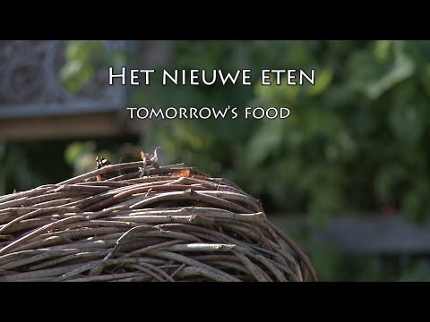 Het Nieuwe Eten: Tomorrow's Food'