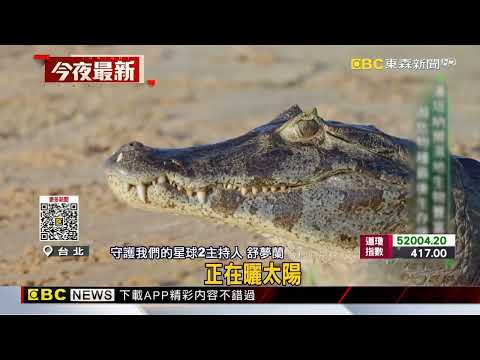 金鐘獎入圍名單公布 東森新聞舒夢蘭三項入圍@newsebc
