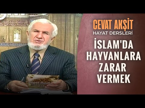 İslam'da Hayvanlara Zarar Vermek | @Cevat Akşit ile Hayat Dersleri 18. Bölüm