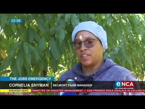 Move to employ more locals on WC farms